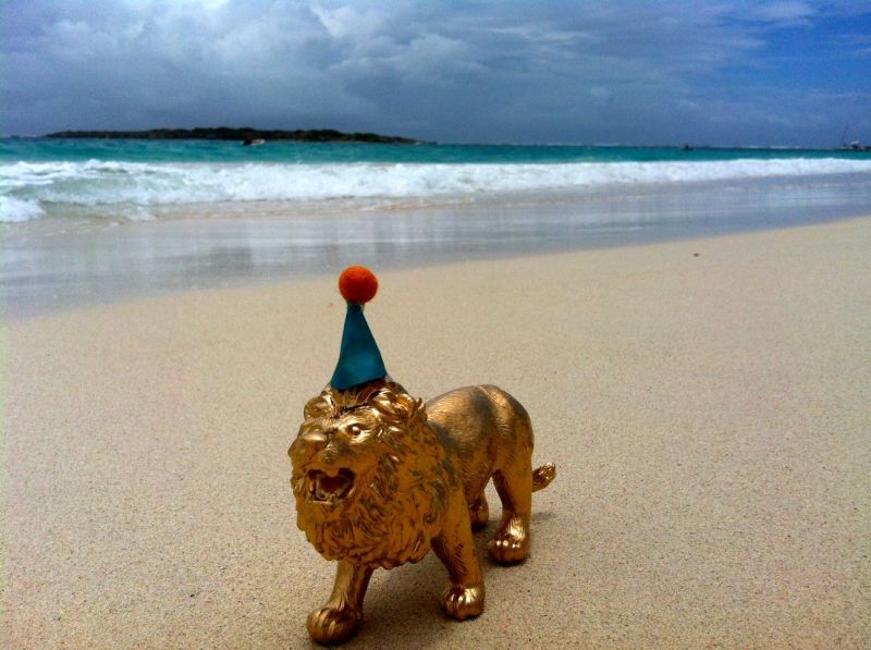 Celebrate Like a Party Animal with this animal theme birthday party at Crayons and Croissants