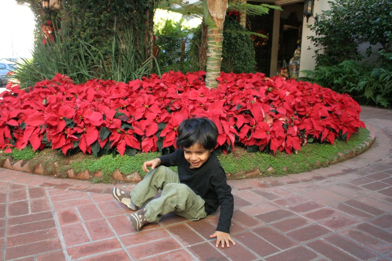 Our Tips for a Great Family Vacation in Santa Barbara